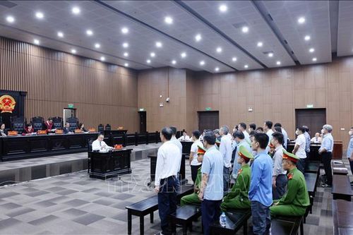 Vụ Tập đoàn Thuận An: Nhiều bị cáo nguyên là cán bộ Nhà nước bị tuyên án
