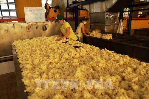 Dư địa tăng trưởng lớn xanh hóa ngành nhựa và cao su