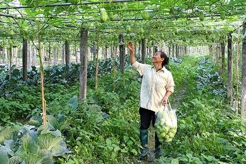 Phú Thọ đặt mục tiêu đến năm 2030 có 80% số xã đạt chuẩn nông thôn mới