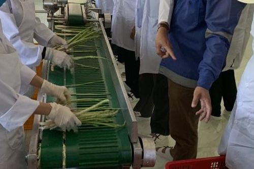 Xây dựng công trình tạm trên đất nông nghiệp: Mừng và lo