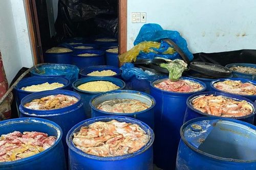 Gần 5 tấn da heo bốc mùi hôi thối, không rõ nguồn gốc tại cơ sở lạp xưởng Gia Quý