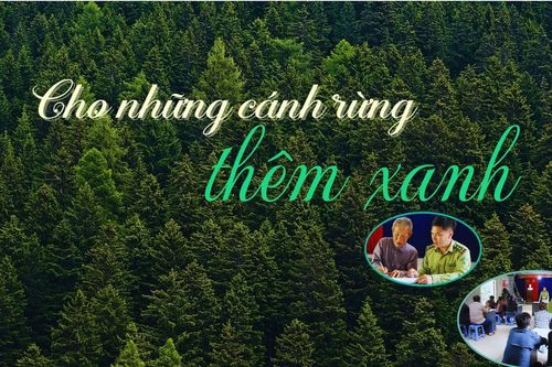 Cho những cánh rừng thêm xanh