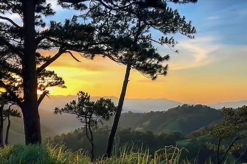 Phát triển du lịch dưới tán rừng