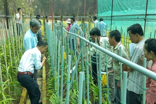 Nhà khoa học Nguyễn Minh Đông và hành trình chuyển giao kỹ thuật cho 10.000 lượt nông dân