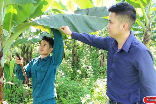 Tập trung khai thác tiềm năng, thế mạnh của địa phương