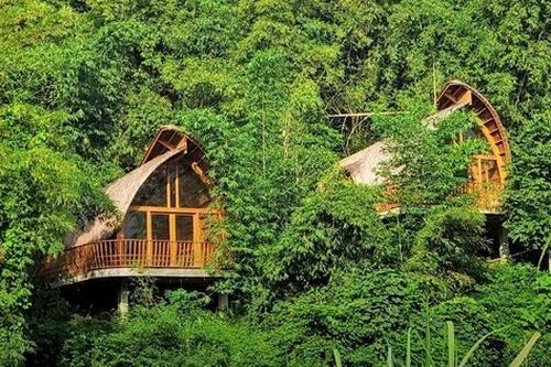 Thổi hồn vào kiến trúc hiện đại với mây, tre