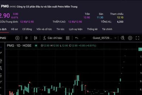 Thị giá cổ phiếu PMG tăng một mạch hơn 80% sau 8 phiên 'tím' liên tiếp