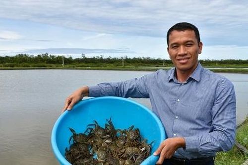 Nuôi cua bằng công nghệ số, một doanh nghiệp tại Hưng Yên xuất bán hàng trăm tấn mỗi năm