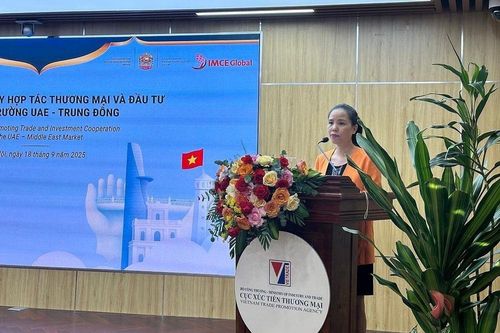 Doanh nghiệp Việt gia tăng hiện diện tại UAE