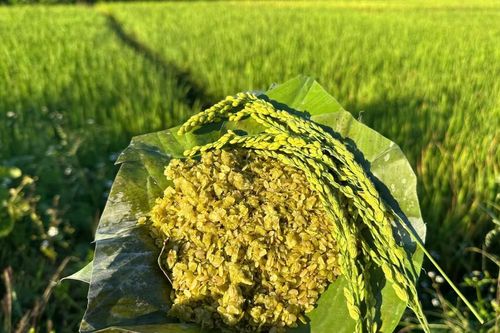 Cốm Cao Bằng gói trọn hương vị của mùa thu