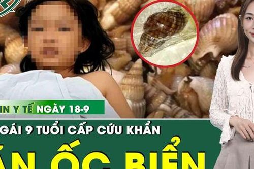 Bản tin Y tế 18/9: Bé gái 9 tuổi cấp cứu, ngộ độc nặng sau ăn ốc biển