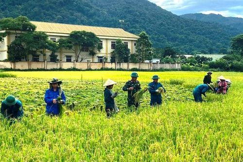 Ấm tình quân dân nơi vùng biên