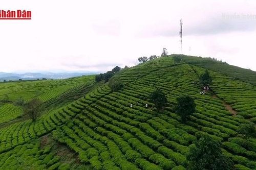 Đồng bộ giải pháp, tạo đột phá cho du lịch Việt Nam