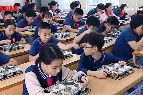 Hà Nội: Siết chặt kiểm tra bữa ăn bán trú học đường