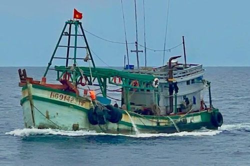 Cảnh sát biển kịp thời cứu ngư dân bị rắn biển cắn