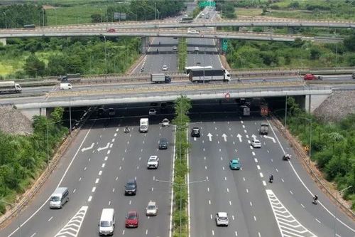 Cân nhắc trồng cây xanh trên dải phân cách đường cao tốc