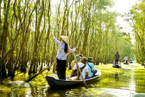 Du lịch mùa nước nổi ở Đồng Tháp, những trải nghiệm khiến du khách mê mẩn