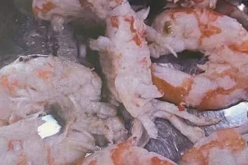 Lâm Đồng: Phụ huynh 'dậy sóng' vì lo thực phẩm bẩn lọt vào bếp ăn trường học