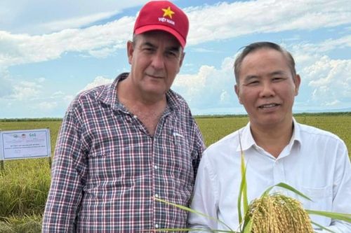 Hợp tác nông nghiệp Việt Nam-Cuba mở rộng từ lúa gạo sang chăn nuôi, thủy sản và công nghệ sinh học