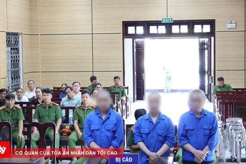 Án chung thân cho 3 đối tượng vận chuyển ma túy xuyên biên giới