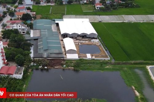 Xử phạt trại bò gây ô nhiễm ở Thanh Hóa