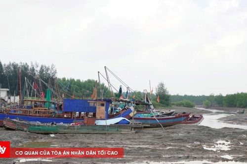 Những tiếng thở dài ở Cảng cá Hoằng Phụ