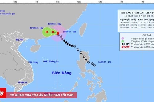 Ngành hàng hải và đường thủy khẩn trương triển khai ứng phó bão số 8