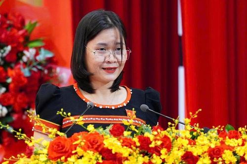 Đề nghị có cơ chế đặc thù phát triển sâm Ngọc Linh ở phía Tây Đà Nẵng