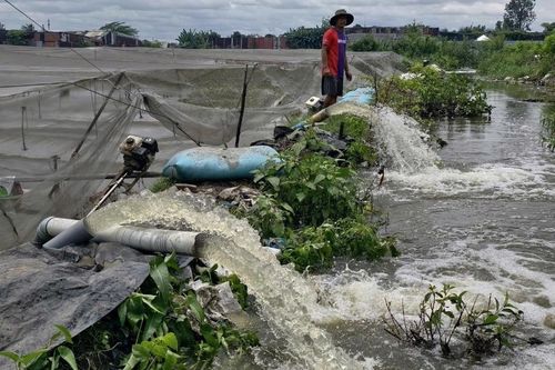 Chỉ sau một cơn mưa, vườn rau của nông dân TPHCM tan hoang như chưa từng tồn tại