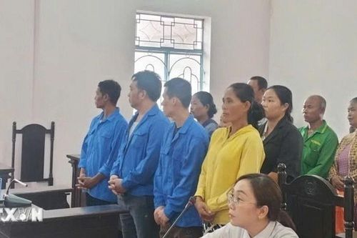 Cà Mau: Bản án thích đáng cho các đối tượng mua bán người, không tố giác tội phạm