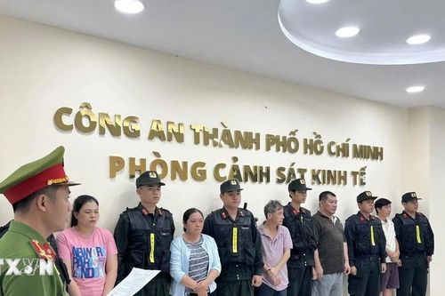 Thành phố Hồ Chí Minh: Triệt phá đường dây buôn lậu núp bóng công ty nội thất
