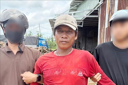 An Giang: Bắt giữ 2 đối tượng truy nã