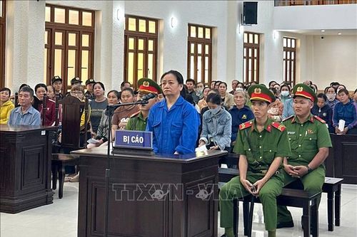 Lâm Đồng: Án chung thân cho đối tượng lừa đảo chiếm đoạt hàng trăm tỷ đồng