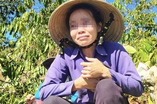 Vụ anh rể phá vườn cây 'đòi quan hệ với em vợ': Vì sao bà chủ vườn cà phê bị phạt?