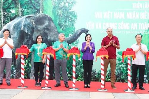 Gần 500 người tham gia 'Nhảy vì sự tử tế với loài voi và các loài động vật hoang dã'