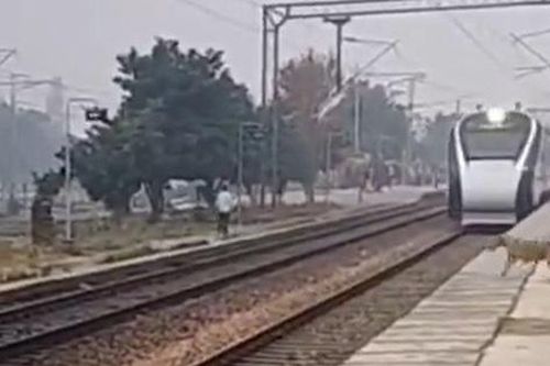 Chú chó thoát chết thần kỳ trước hai đoàn tàu đang chạy với tốc độ cao