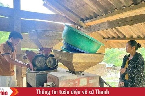 Những nông dân người Mông làm giàu