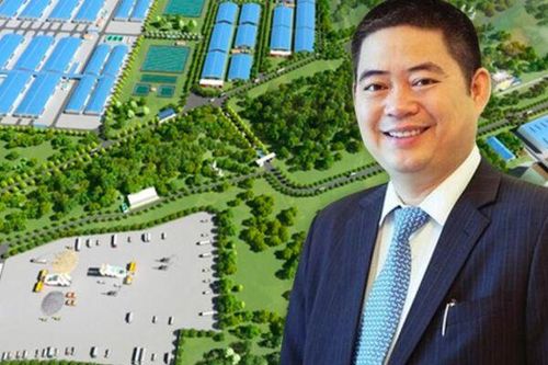 Các công ty năng lượng của Xuân Thiện kinh doanh ra sao?
