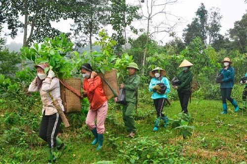 Nghệ An tiếp nhận hơn 356 tỷ đồng từ ERPA, mở rộng sinh kế cho người dân miền núi