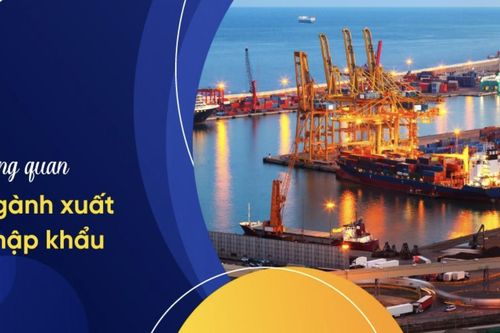 Con gái có nên làm xuất nhập khẩu không? Cơ hội và thách thức