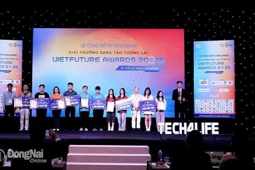 Trường đại học Lạc Hồng giành giải nhất Giải thưởng Sáng tạo tương lai - VietFuture Awards 2025
