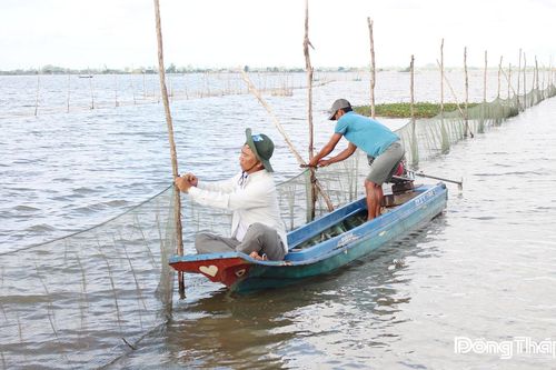 Nhịp sống mùa nước nổi