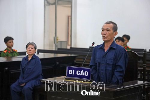 Lừa bán đất, vợ chồng 'chủ đất dỏm' lãnh án
