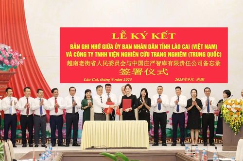 Tỉnh Lào Cai ký kết bản ghi nhớ hợp tác với Công ty TNHH Viện nghiên cứu Trang Nghiêm (Trung Quốc)