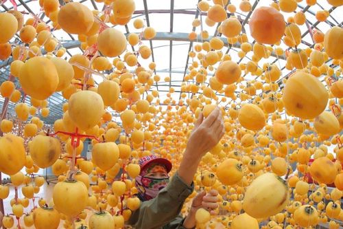 Tạo thuận lợi để doanh nghiệp phát triển
