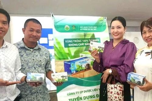 Đánh thức nguồn dược liệu quý