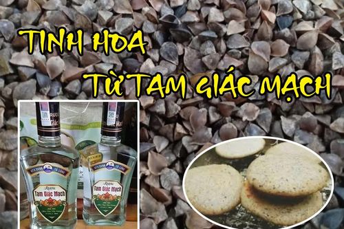 Tinh hoa từ Tam giác mạch