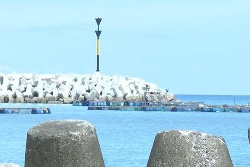 Quảng Ngãi: Dự án nạo vét cảng biển cần nơi đổ thải gần nửa triệu mét khối bùn, cát