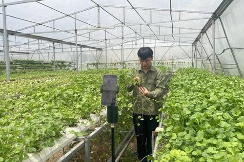 Quảng Ninh bứt phá với thương mại điện tử, tạo đà phát triển kinh tế số