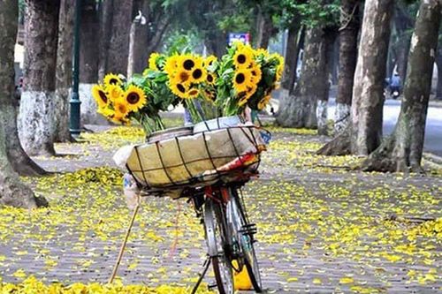 Mùa thu Hà Nội - Bản giao hưởng của ký ức và hiện tại